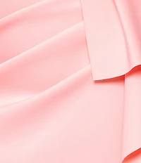 Betsy & Adam Scuba Sleeveless V Neck Long Sheath Dress