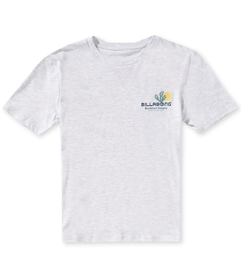 Billabong Big Boys Short Sleeve Tailgating Tee