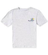Billabong Big Boys Short Sleeve Tailgating Tee