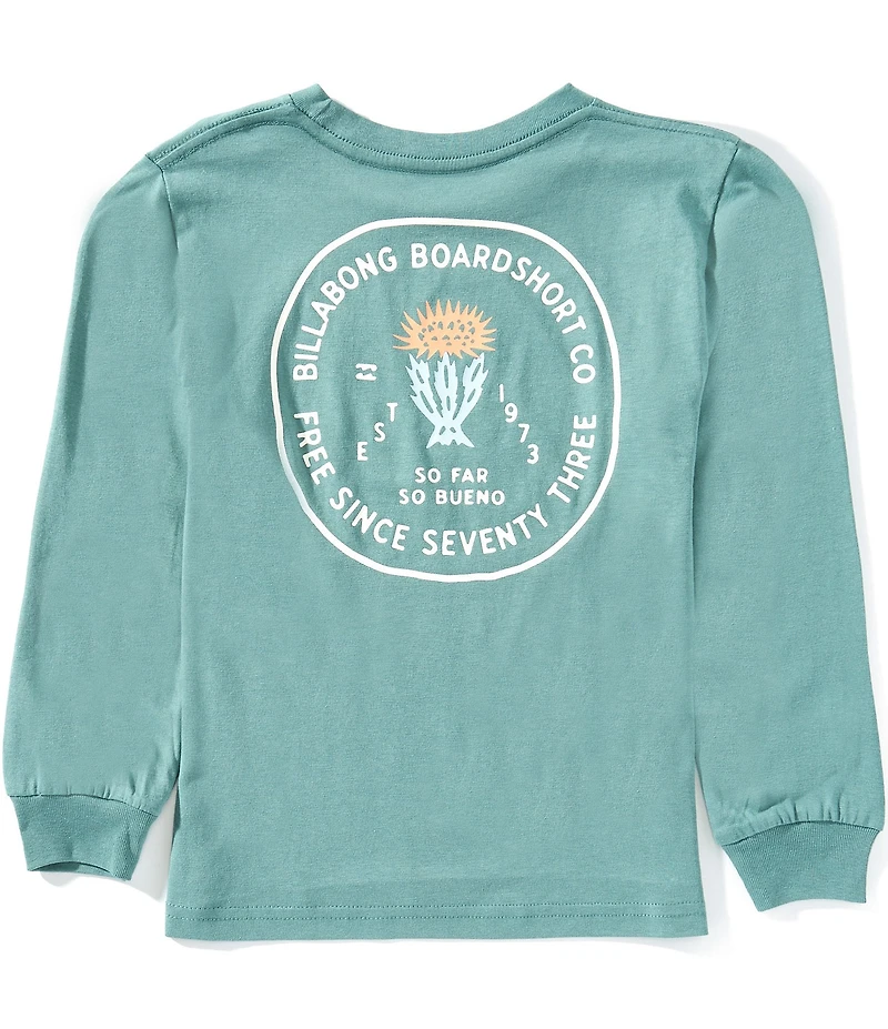 Billabong Little Boys Long Sleeve Desert Rose T-Shirt
