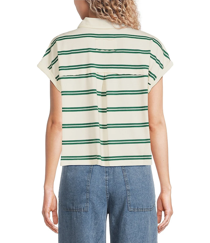 Blu Pepper Striped Collared Short Sleeve Boxy Knit Top