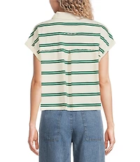 Blu Pepper Striped Collared Short Sleeve Boxy Knit Top