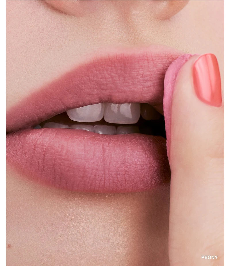 Bobbi Brown Pot Rouge Velvet Matte Cream Blush for Cheeks & Lips