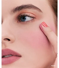 Bobbi Brown Pot Rouge Velvet Matte Cream Blush for Cheeks & Lips