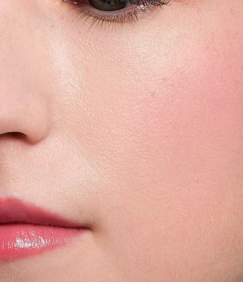 Bobbi Brown Pot Rouge Velvet Matte Cream Blush for Cheeks & Lips