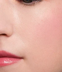 Bobbi Brown Pot Rouge Velvet Matte Cream Blush for Cheeks & Lips