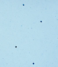 BodiPEDIC -Inch Gel-Infused Memory Foam Mattress Bed Topper