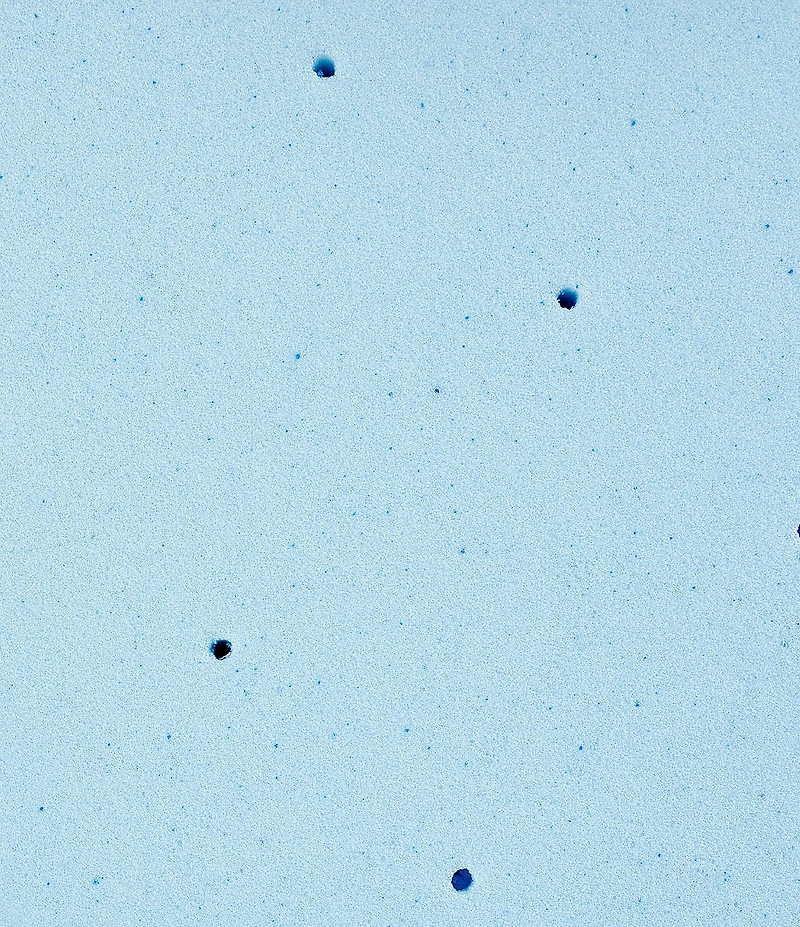 BodiPEDIC 4-Inch Gel-Infused Memory Foam Mattress Bed Topper