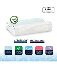 BodiPEDIC Cooling Gel Overlay Memory Foam Contour Bed Oversized Pillow