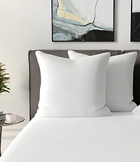 BodiPEDIC Fiber Filled Square Euro Pillow Insert, Set of 2