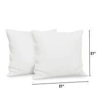 BodiPEDIC Fiber Filled Square Euro Pillow Insert, Set of 2