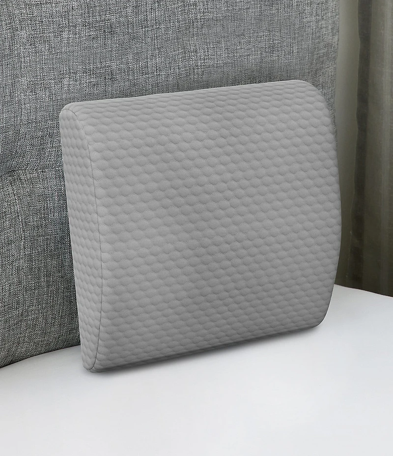 BodiPEDIC Pressure-Relieving Support Memory Foam Lumbar Pillow