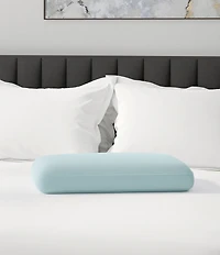 BodiPEDIC Response Memory Foam Bed Pillow