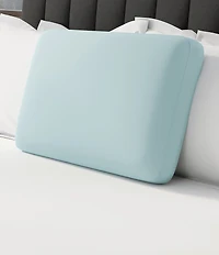 BodiPEDIC Response Memory Foam Bed Pillow