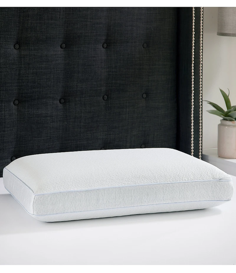 BodiPEDIC Super Cooling Gel-Infused Gusseted Memory Foam Bed King Pillow