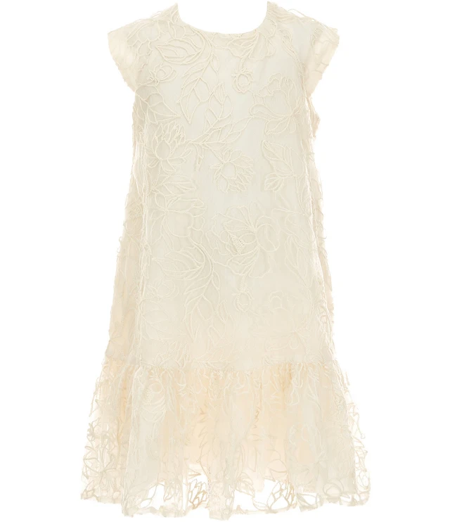 Bonnie Jean Big Girls Cap-Sleeve Embroidered Drop-Waist Dress at  CoolSprings Galleria in Franklin, TN
