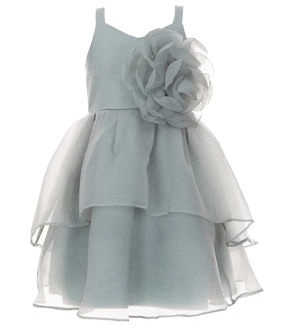 Bonnie Jean Big Girls Sleeveless Flower Appliqued Crinkle Organza Ballerina Dress
