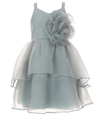 Bonnie Jean Big Girls Sleeveless Flower Appliqued Crinkle Organza Ballerina Dress