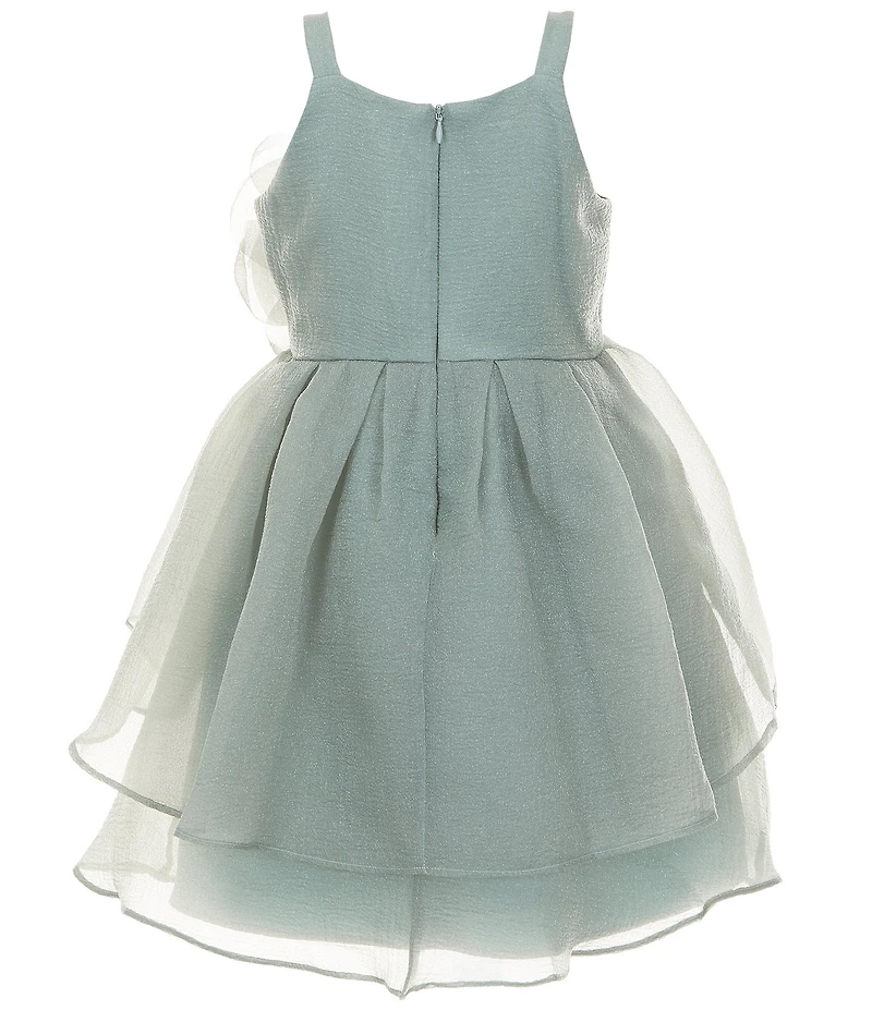 Bonnie Jean Big Girls Sleeveless Flower Appliqued Crinkle Organza Ballerina Dress