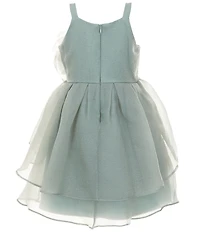 Bonnie Jean Big Girls Sleeveless Flower Appliqued Crinkle Organza Ballerina Dress