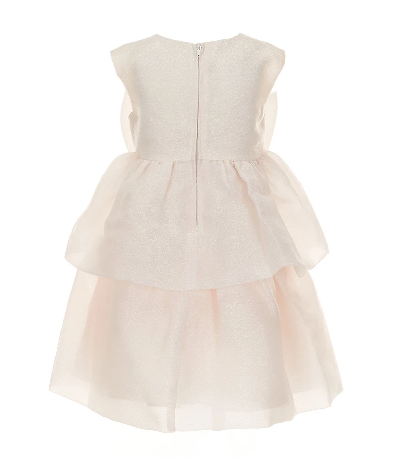Bonnie Jean Little Girls Cap Sleeve Shimmer Organza Bow Dress