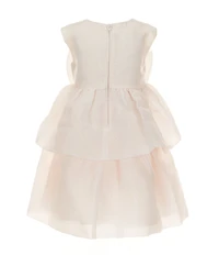 Bonnie Jean Little Girls Cap Sleeve Shimmer Organza Bow Dress