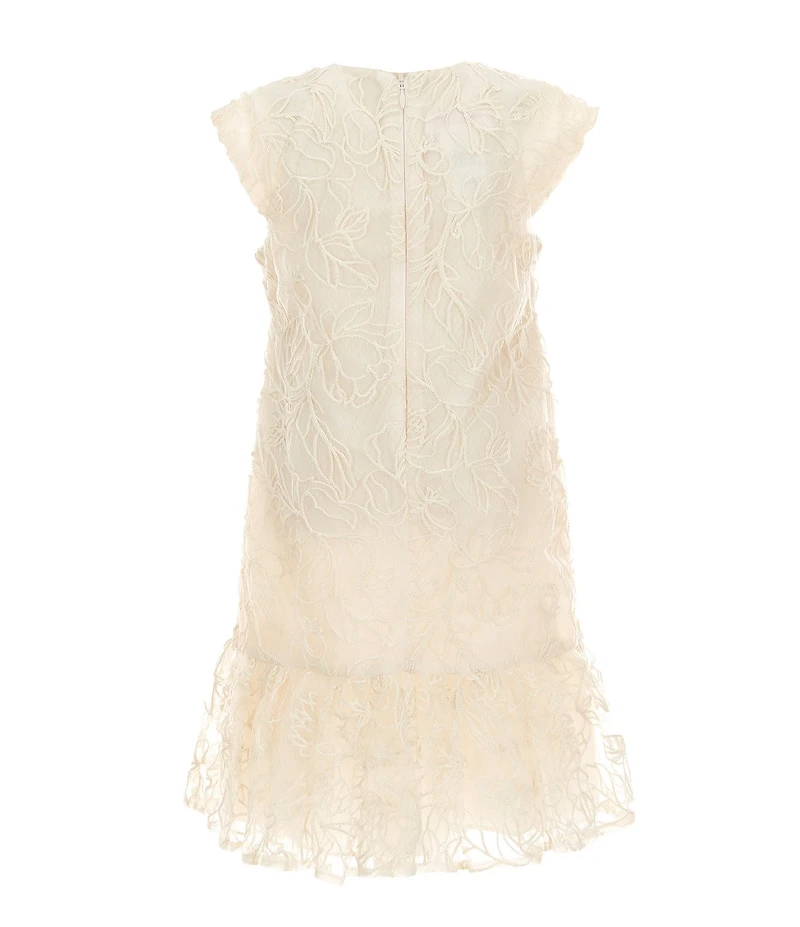 Bonnie Jean Little Girls Cap-Sleeve Embroidered Drop-Waist Dress