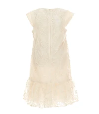 Bonnie Jean Little Girls Cap-Sleeve Embroidered Drop-Waist Dress