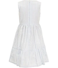 Bonnie Jean Little Girls Long-Sleeve Floral-Embroidered Knit Cardigan & Sleeveless Striped Fit-And-Flare Seersucker Dress Set