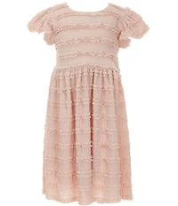 Bonnie Jean Little Girls Puff Sleeve Ruffled Lace Knit Dress