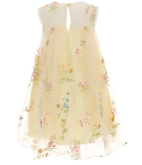 Bonnie Jean Little Girls Sleeveless Illusion Neckline Embroidered Floral Trapeze Mesh Tiered Dress