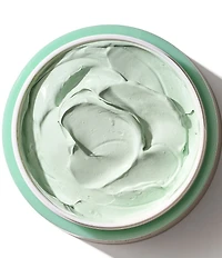 Borghese Advanced Fango Delicato Moisturizing Mud Mask for Face and Body