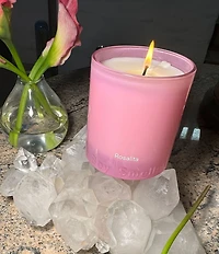 Boy Smells Rosalita Essential 8.5oz. Candle