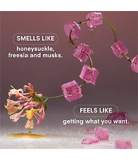 Boy Smells Sugar Baby Perfume