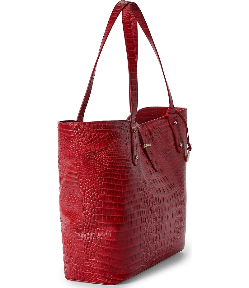 BRAHMIN Alden Road Collection Salsa All Day Tote Bag