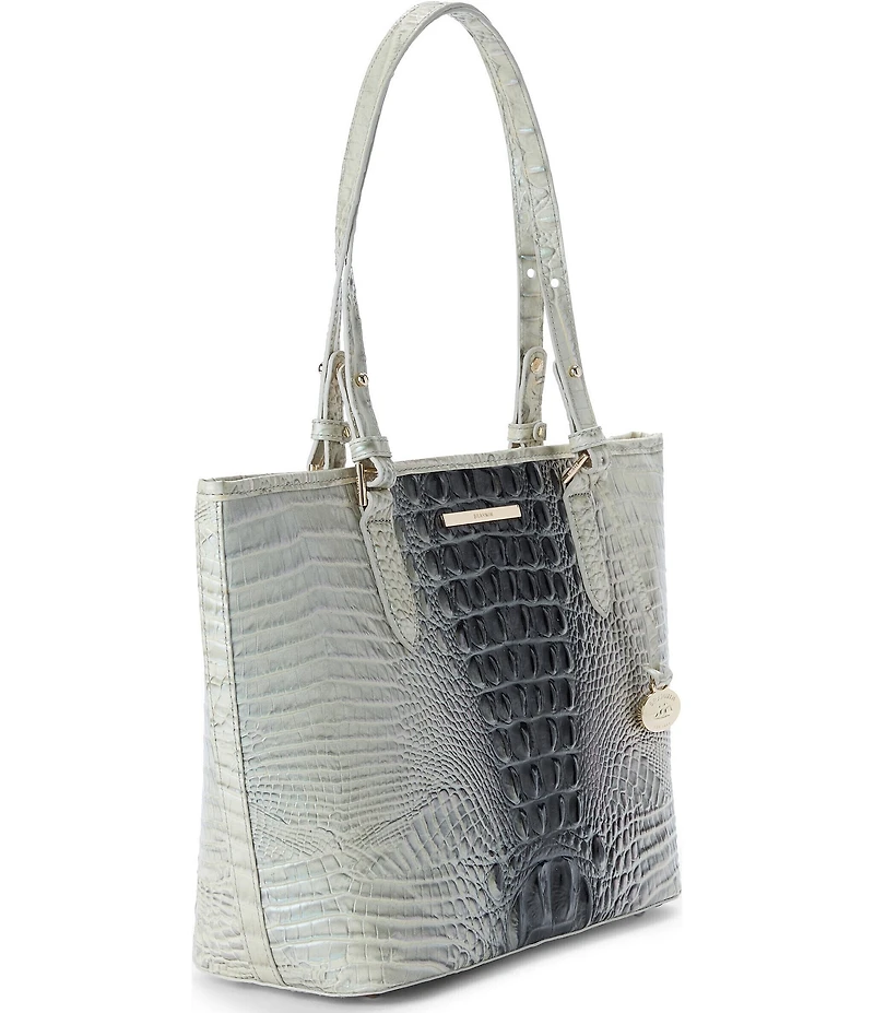 BRAHMIN Melbourne Collection Everlasting Medium Asher Tote Bag