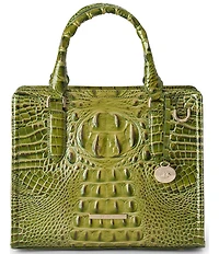 BRAHMIN Melbourne Ombre Collection Cami Satchel Top Handle Bag