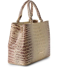 BRAHMIN Ombre Melbourne Collection Ginger Small Denise Satchel Bag