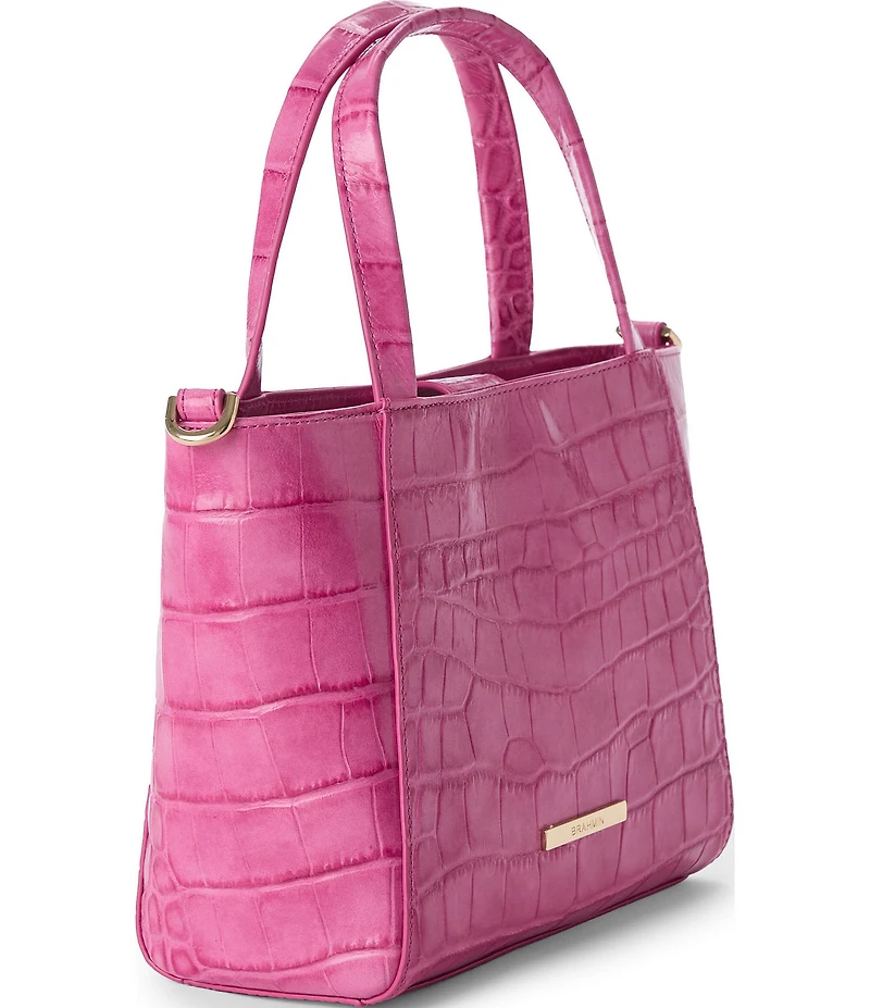 BRAHMIN Pink Alba Collection Small Mona Tote Bag