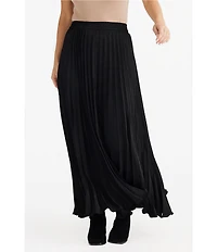 Brave + True Alias Pleated Maxi Skirt