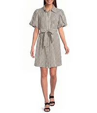 Brave + True Lenni Gingham Button Front Belted Mini Dress