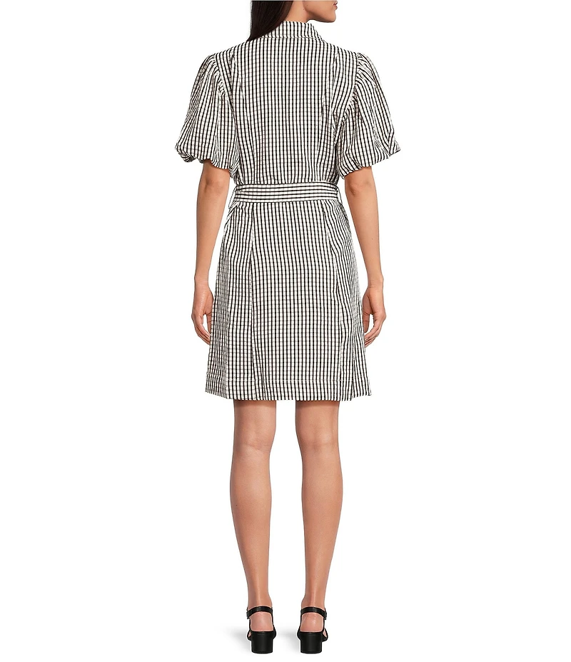 Brave + True Lenni Gingham Button Front Belted Mini Dress