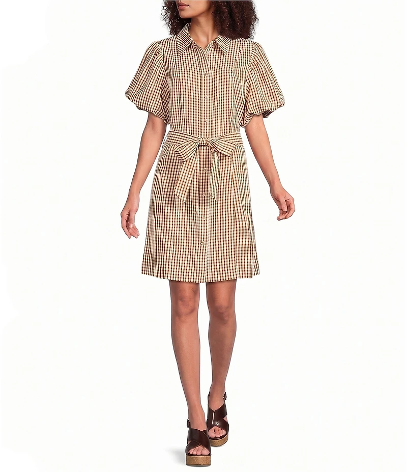 Brave + True Lenni Gingham Button Front Belted Mini Dress