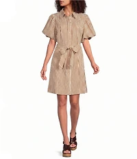 Brave + True Lenni Gingham Button Front Belted Mini Dress