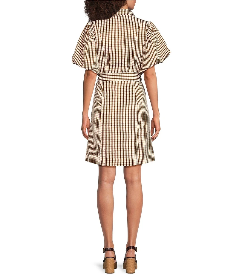 Brave + True Lenni Gingham Button Front Belted Mini Dress