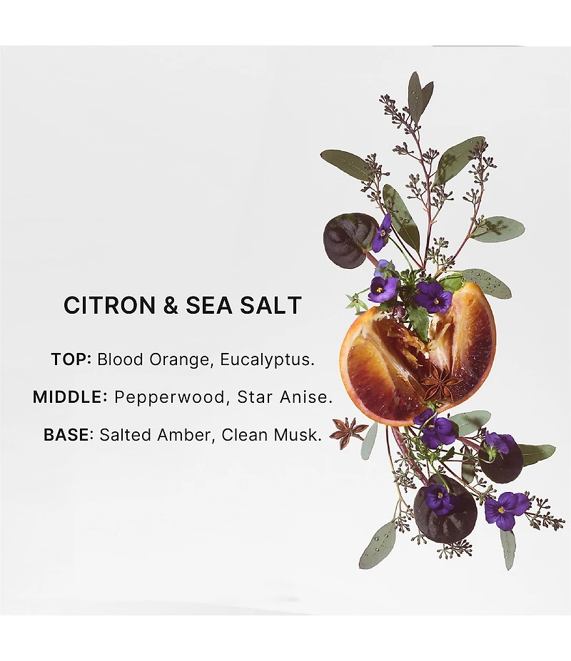 Bravo Sierra Citron & Sea Salt Body Wash