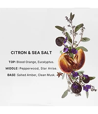 Bravo Sierra Citron Sea Salt Deodorant