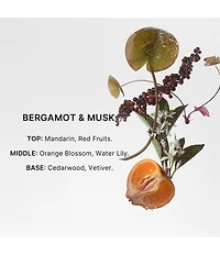 Bravo Sierra Deodorant Bergamot & Musk
