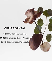 Bravo Sierra Orris & Santal Body Wash