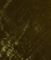 Bryn Walker Coordinating Maltinto Velvet A-Line Bias Pull-On Maxi Skirt